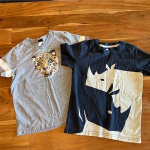 Tea Collection Shirts